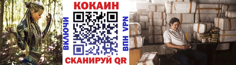 COCAIN Columbia Иланский