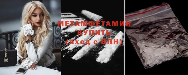 шишки Апатиты