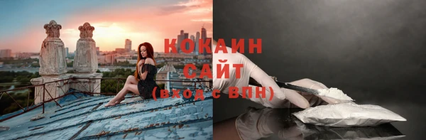 метадон Горняк